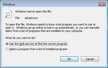 Cant open executable in Windows