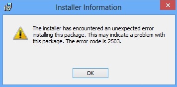 windows 2503 error